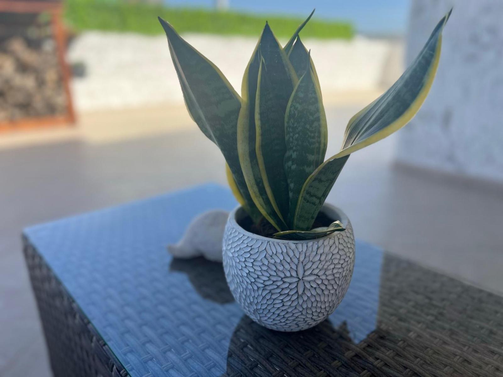 Katerina House Apartment Ираклио Екстериор снимка